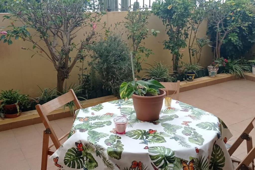 Casa El Sentir Apartment เซาซาล ภายนอก รูปภาพ